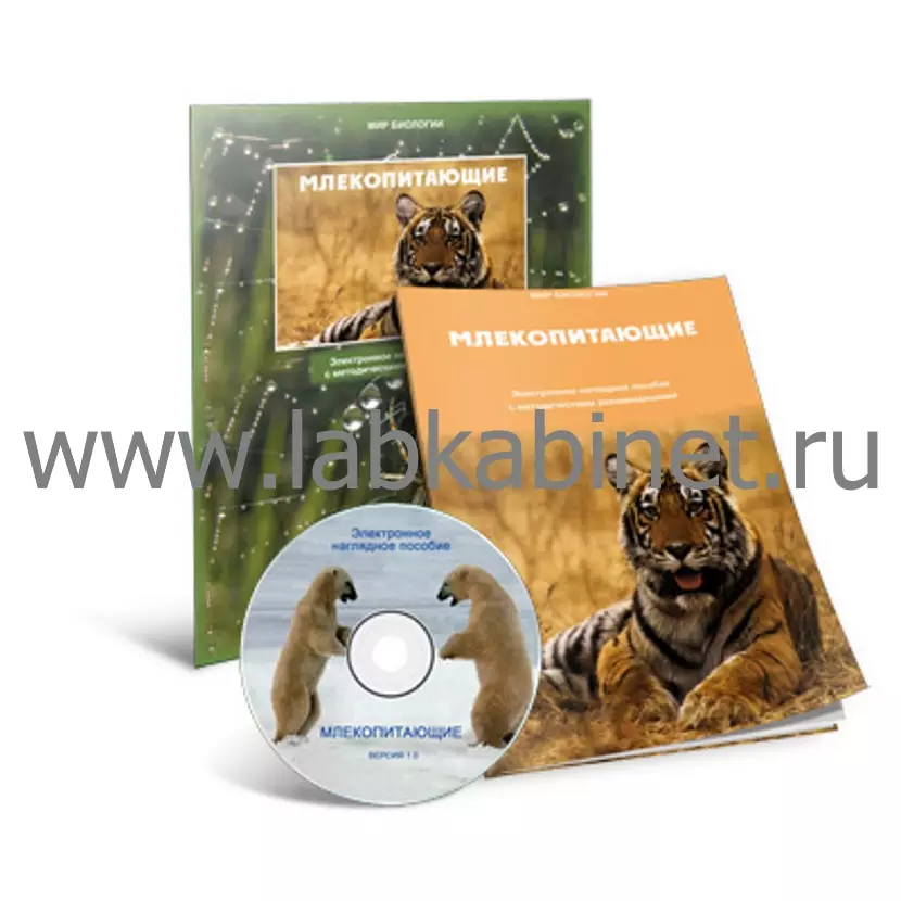 Электронное наглядное пособие, Млекопитающие