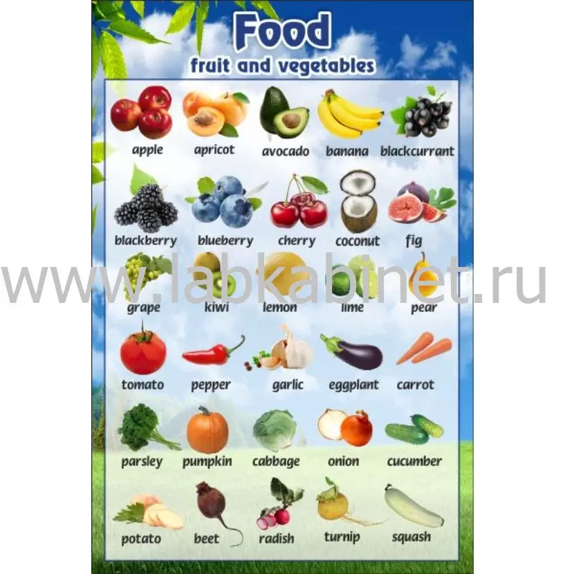 Плакат «Фрукты и овощи» 60×90 см для занятий по окружающему миру