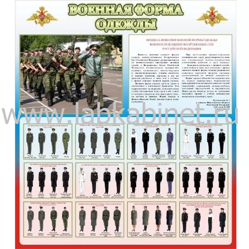 Стенд для кабинета ОБЖ и НВП "Военная форма одежды (герб РФ)", 0,8х0,9