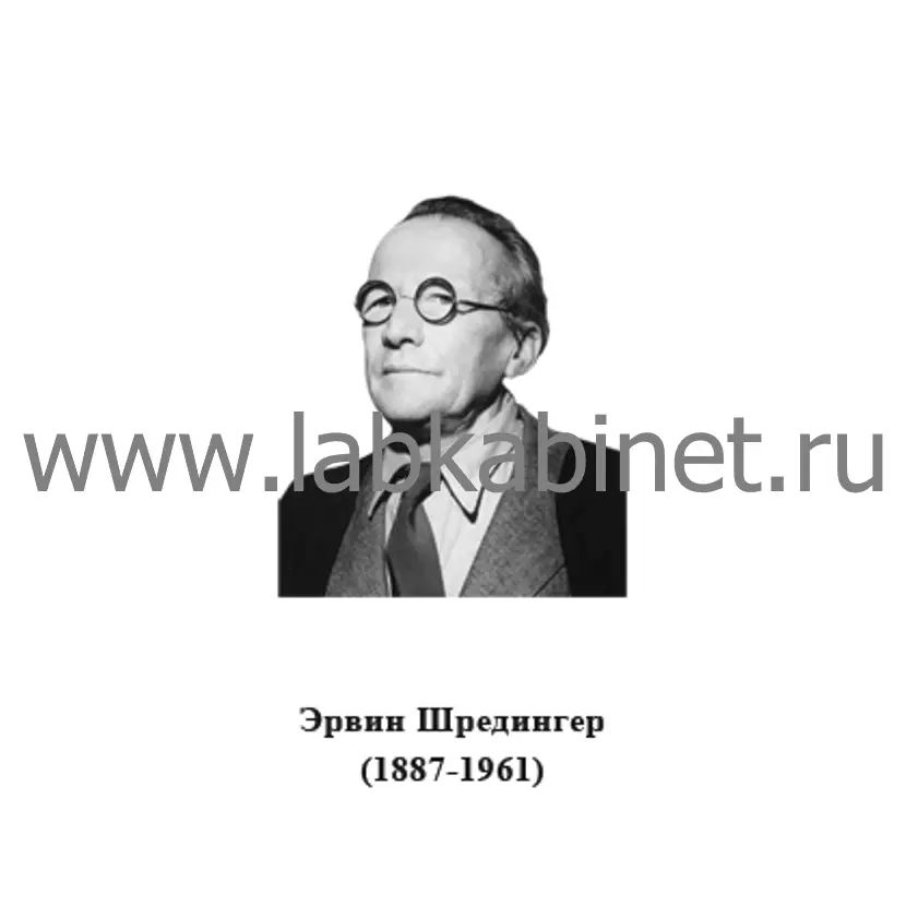 Портрет Эрвина Шрёдингера для кабинета физики и изучения истории квантовой механики