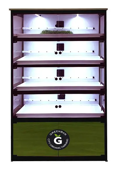 Витрина Greenbar BLEK EDISHN- MZ 4 ПАК для выращивания микрозелени.