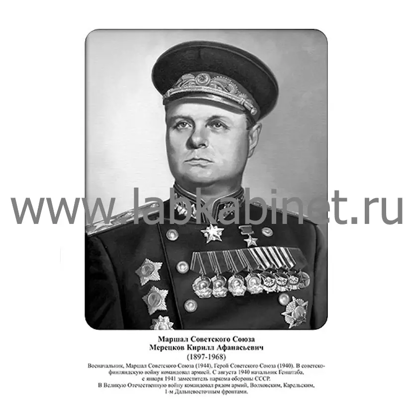 Портрет Кирилла Мерецкова для кабинета истории и изучения выдающихся военачальников