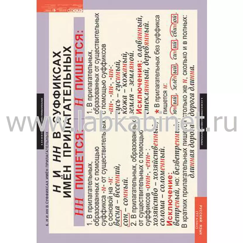 Таблицы «Русский язык» для 6 класса, комплект из 7 таблиц