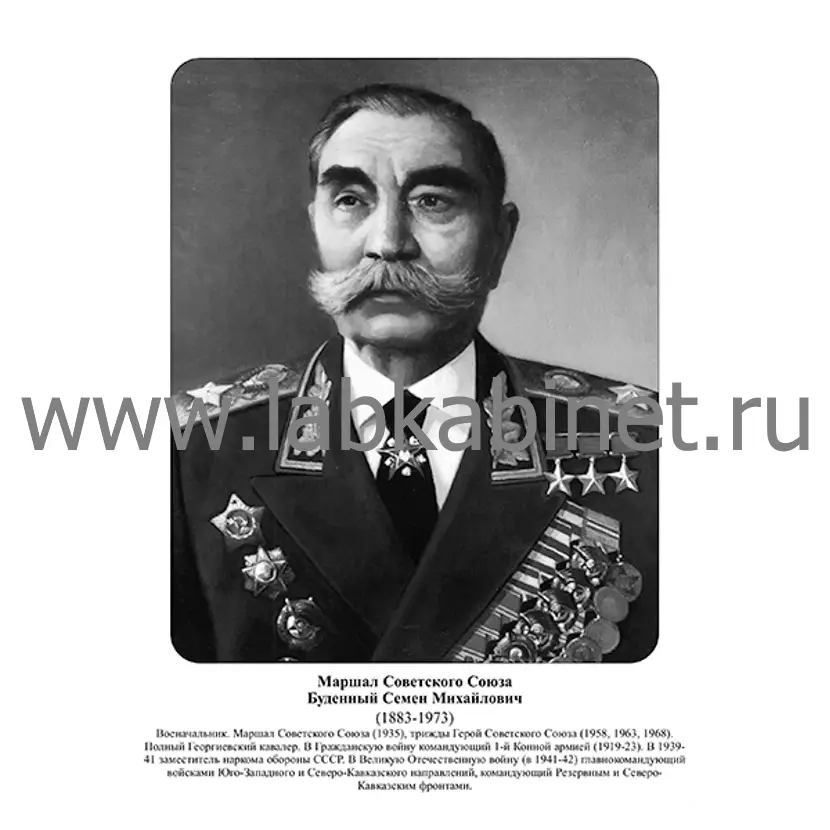 Портрет Семёна Будённого для кабинета истории и изучения выдающихся военачальников