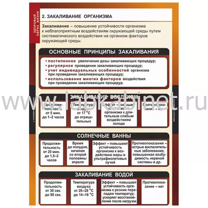 Плакат «Здоровый образ жизни» для формирования знаний о здоровом образе жизни