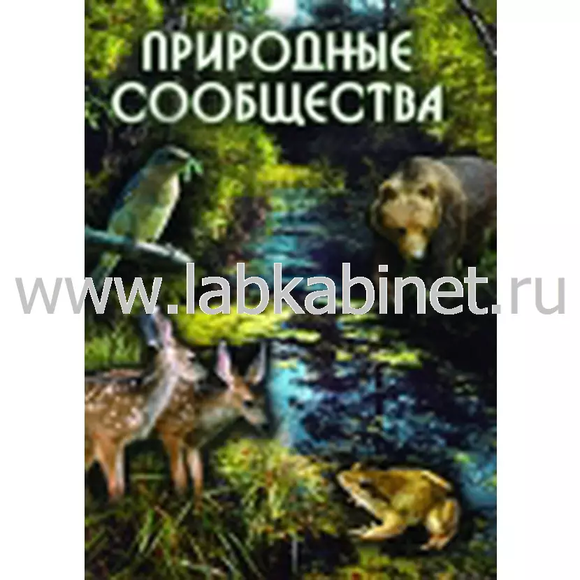 Учебный видеофильм «Природные сообщества» для занятий по биологии и экологии