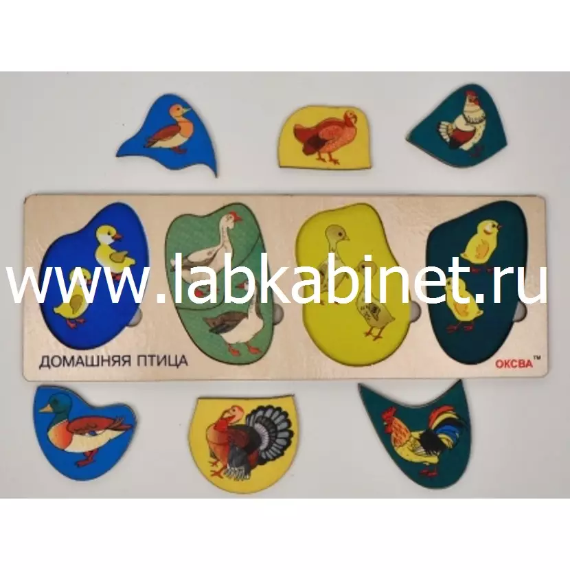 Игровые пазлы "Домашняя птица (доска Сегена)"