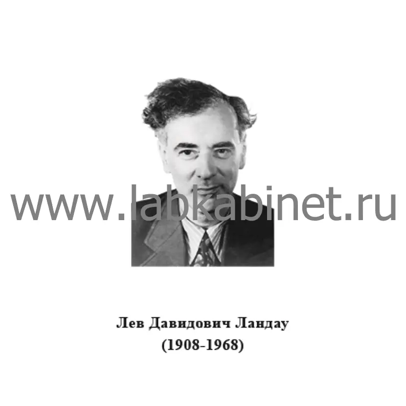 Портрет Льва Ландау для кабинета физики и изучения истории отечественной науки