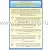 Таблица «Стрижки по типу лица» для учебных занятий, размер 0,6×0,9 м