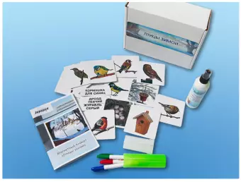 Магнитно-маркерный плакат "Птицы зимой" с набором магнитных карточек + методические рекомендации