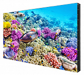 BK557FFLE_СЕРИЯ BASIC 55", 0.88 mm, FHD, 700 cd/m2, 24/7 глянец