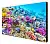 BK557FFLE_СЕРИЯ BASIC 55", 0.88 mm, FHD, 700 cd/m2, 24/7 глянец