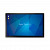 Профессиональный дисплей NextPanel DS 43