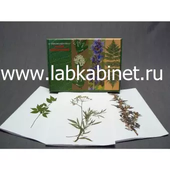 Гербарий "Ядовитые растения" (20 видов) формат А-3