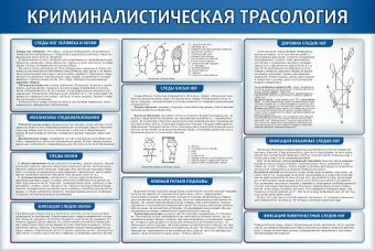 Стенд "Криминалистическая трасология "1,5х1