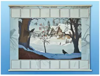 Магнитно-маркерный плакат "Птицы зимой" с набором магнитных карточек + методические рекомендации