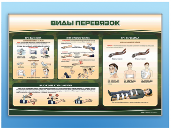 Плакат «Виды перевязок» 150×100 см для занятий по первой помощи