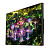 SK495FCLN_СЕРИЯ STANDARD 49", 3.5 mm, FHD, 450 cd/m2, 24/7