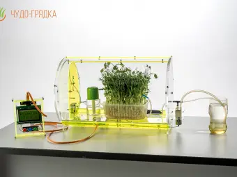 Переносной комплект для естественно-научного практикума «Чудо-грядка» (базовая комплектация)