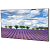 PK555FDLN_СЕРИЯ PREMIUM 55", 1.8 mm, FHD, 500 cd/m2, 24/7