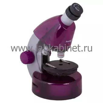 Микроскоп Levenhuk LabZZ M101 Аметист