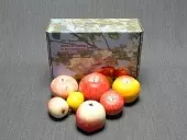 Набор муляжей «Дикая форма и культурные сорта яблони»