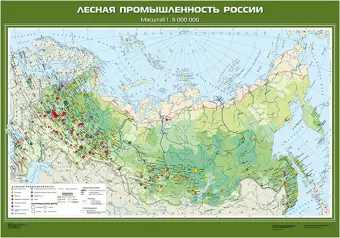 Плакат «Лесная промышленность России» размером 100x140 см