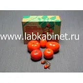 Набор муляжей «Дикая форма томата обыкновенного и культурные сорта томатов»