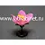 Модель цветка персика для изучения строения цветка