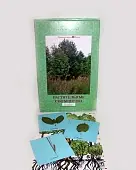 Гербарий "Растительные сообщества" (9 видов х 5 планшетов) 