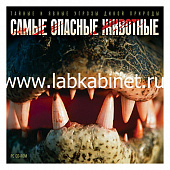 Интерактивное пособие "Самые опасные животные"