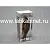 Влажный зоопрепарат "Внутреннее строение рыбы" 