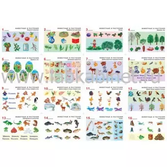 "Комплект таблиц Окружающий мир 5-6 лет. ""Животные и растения"". (12 таблиц+16 карт.) "