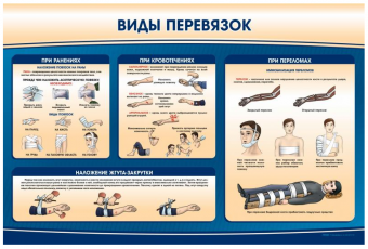 Плакат «Виды перевязок» 150×100 см для обучения оказанию первой помощи