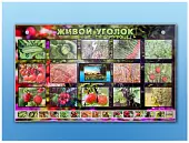 Комплект оборудования "Живой уголок" (растения) с тифлопереводом и сурдокомментариями