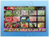 Комплект оборудования "Живой уголок" (растения) с тифлопереводом и сурдокомментариями