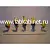 Набор моделей строения мозга позвоночных, 5 шт.
