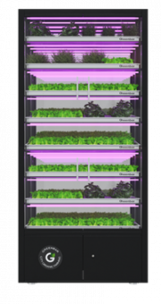 Цифровая ситиферма для выращивания микрозелени Greenbar ПАК MZ_PRO-16