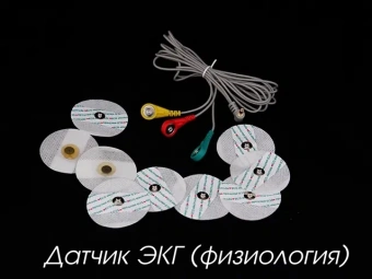 Цифровая лаборатория по физиологии PolusLab 