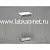 Влажный зоопрепарат «Сцифомедуза» для изучения зоологии