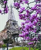 Алмазная   мозаика EF 1004 Весна в Париже 30*40