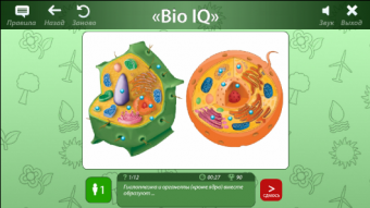 OC3. Био IQ. Многоуровневая игра-викторина