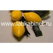 Набор муляжей фруктов "Лимоны"