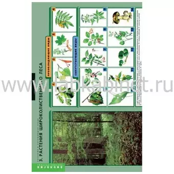 Растения и окружающая среда, 7 таблиц