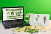 Гербарий   натурально-интерактивный "Растительные сообщества. Лес"