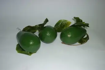 Набор муляжей фруктов "Авокадо"
