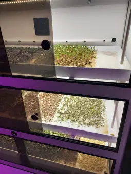 Витрина Greenbar MZ-2 ПАК для выращивания микрозелени