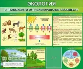 Стенд "Экология Организация и функционирование сообществ" 1.2x1