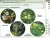 Интерактивное учебное пособие "Наглядная биология. Растение - живой организм"
