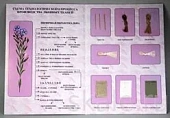 Учебная коллекция льна для начальной школы